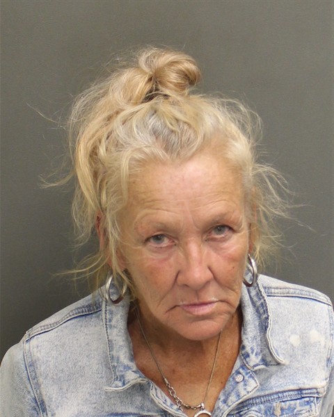  MARY ROBIN HAMILTON Mugshot / County Arrests / Orange County Arrests