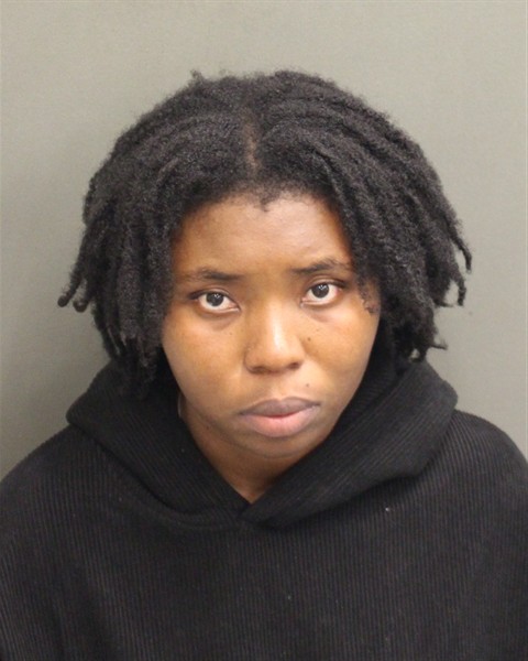  DJENIE CLEMENT Mugshot / County Arrests / Orange County Arrests