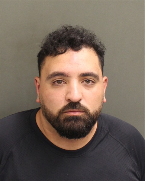  NASER AHMAD ALLAN Mugshot / County Arrests / Orange County Arrests