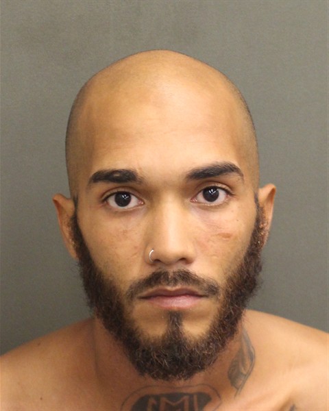  JASON GABRIEL RODRIGUEZPELLOT Mugshot / County Arrests / Orange County Arrests