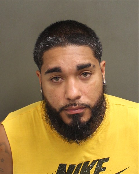  LUIS ANTONIO FERNANDEZ Mugshot / County Arrests / Orange County Arrests