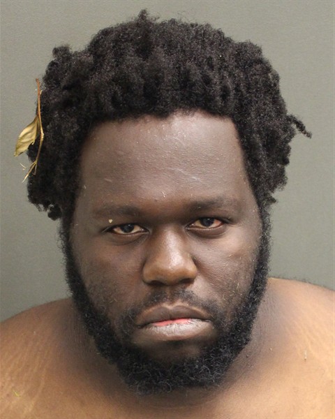  JUSTIN WILNER JR DELVA Mugshot / County Arrests / Orange County Arrests
