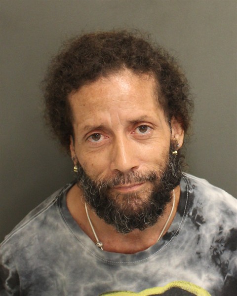  JORGE EMANUELLE IRIZARRYAPONTE Mugshot / County Arrests / Orange County Arrests