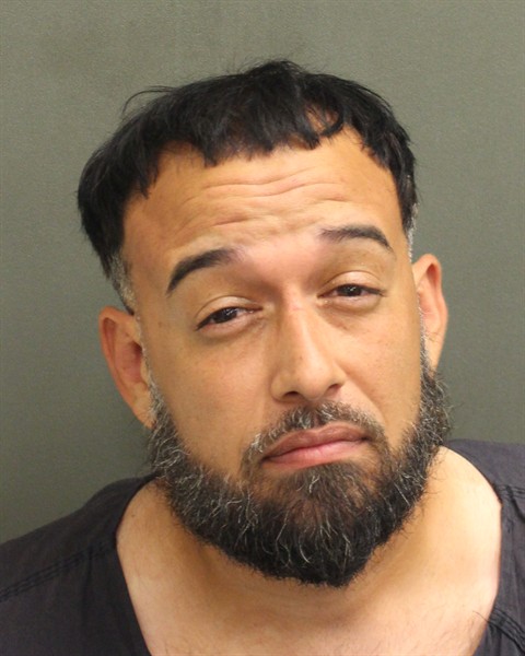  GERMELUS SIXTO AMILL Mugshot / County Arrests / Orange County Arrests