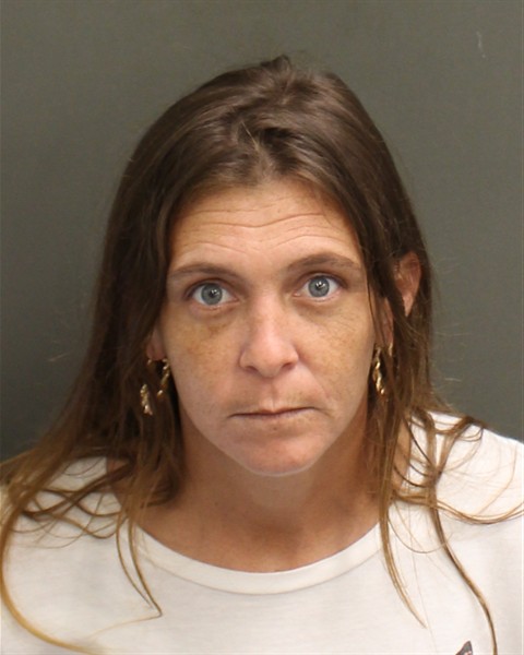  AMY MARIE DINKINS Mugshot / County Arrests / Orange County Arrests