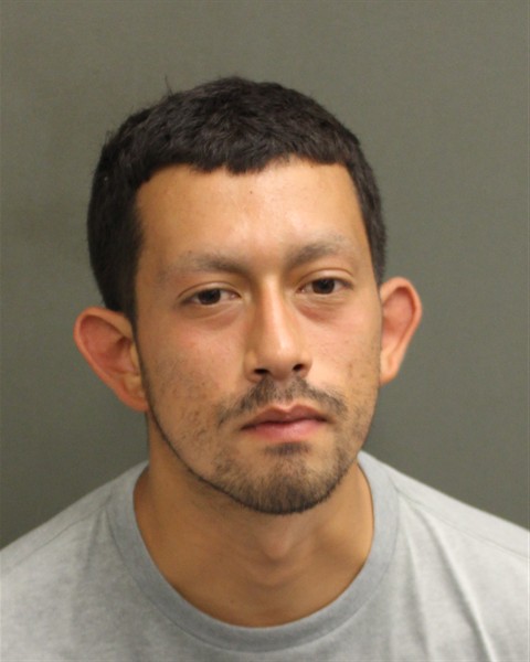  EDGAR EDUARDO NIEVES Mugshot / County Arrests / Orange County Arrests