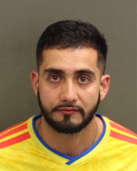  NICOLAS BELTRANDUQUE Mugshot / County Arrests / Orange County Arrests