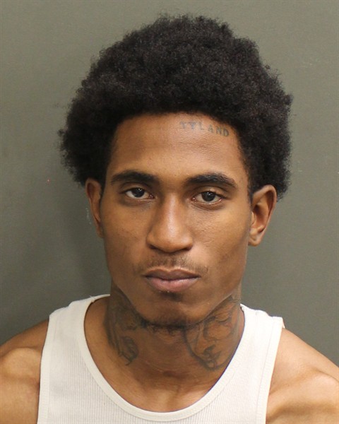  CHRISTIAN BRANDON MANZANILLO Mugshot / County Arrests / Orange County Arrests
