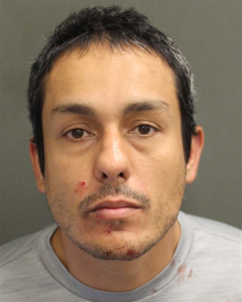  BRUNO GONZAGAFIGUEIREDO Mugshot / County Arrests / Orange County Arrests