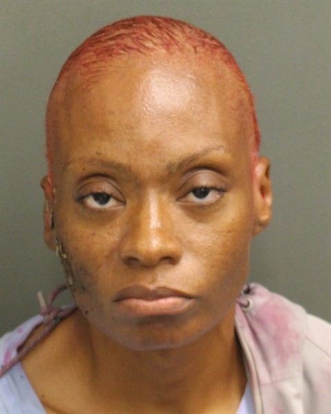  SADE L BRYANT Mugshot / County Arrests / Orange County Arrests
