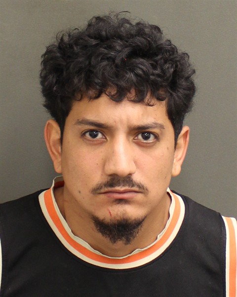  RICARDO ANTONIO FLORESACOSTA Mugshot / County Arrests / Orange County Arrests