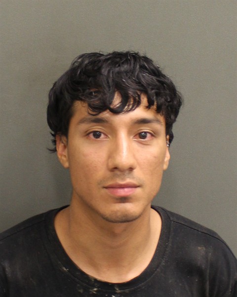  ETHAN MACKENZIE SIAVICHAY Mugshot / County Arrests / Orange County Arrests