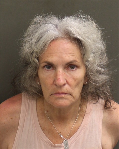  JANET GALE RICHARDSON Mugshot / County Arrests / Orange County Arrests