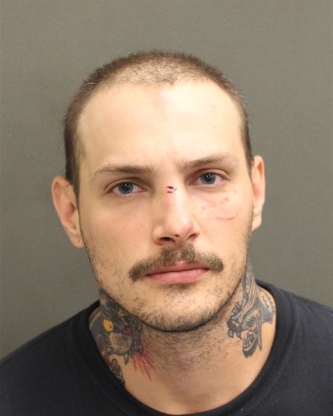  ELLIOTT PATRICK WILSON Mugshot / County Arrests / Orange County Arrests