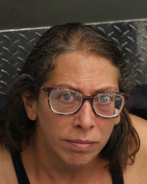  RACHEL M HENDERSON Mugshot / County Arrests / Orange County Arrests