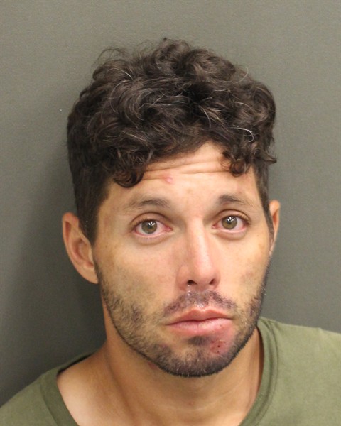  DANIEL MAURICIO CASTILLOSOLANO Mugshot / County Arrests / Orange County Arrests
