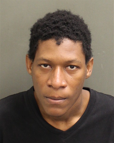  WIDSON FELIX Mugshot / County Arrests / Orange County Arrests
