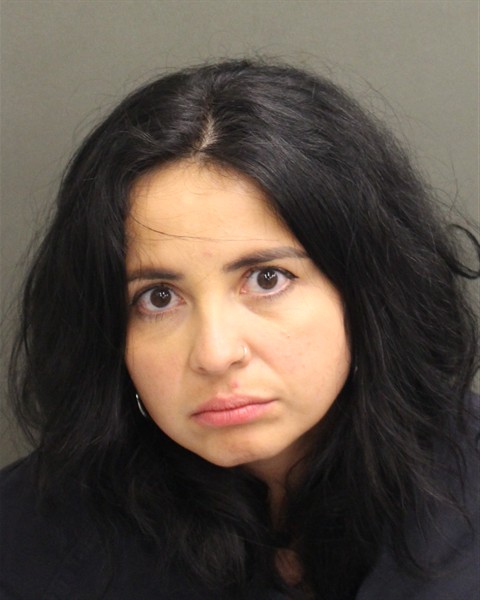  REBECCA CECILIA SIPLE Mugshot / County Arrests / Orange County Arrests
