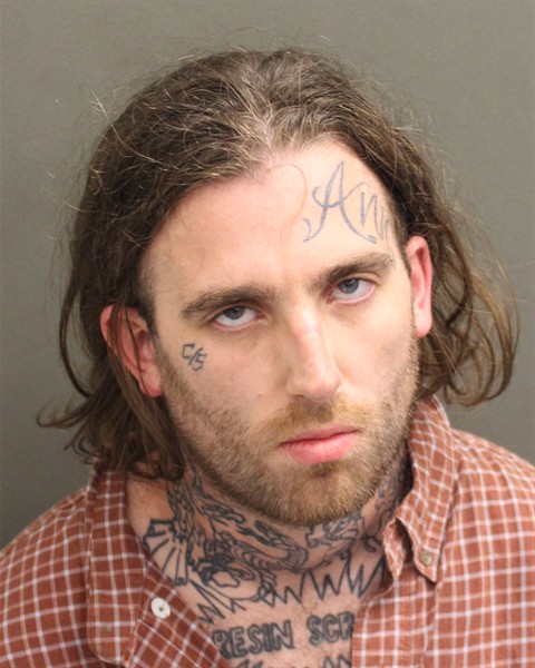  HARRISON MICHAEL BROWN Mugshot / County Arrests / Orange County Arrests