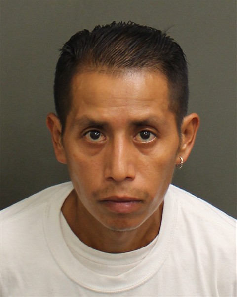  SERGIO TOLENTINOGARCIA Mugshot / County Arrests / Orange County Arrests