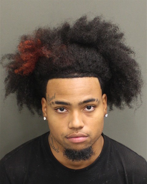  ANDRE MARCOS BORGES Mugshot / County Arrests / Orange County Arrests