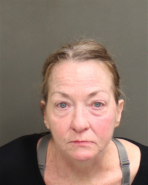  REBECCA WEST TERRY Mugshot / County Arrests / Orange County Arrests