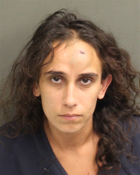  SANDRA ROSE HUSSEINKHEL Mugshot / County Arrests / Orange County Arrests