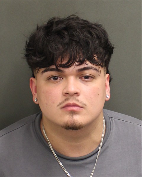  SEBASTIAN ANDRES VANEGAS Mugshot / County Arrests / Orange County Arrests