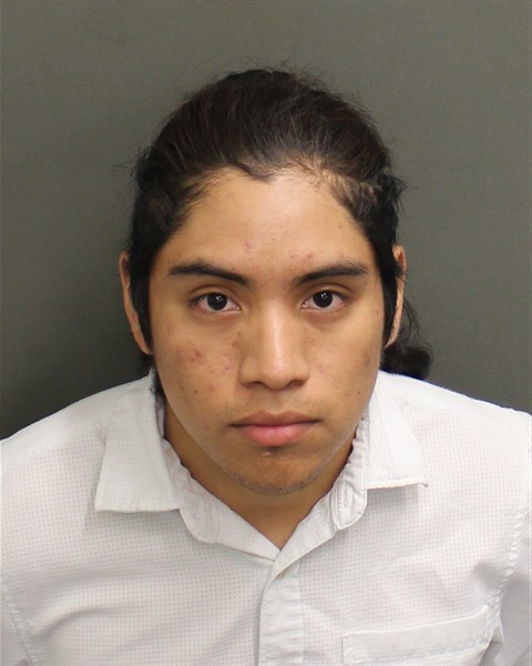  PAULINO DOMINGODIAZ Mugshot / County Arrests / Orange County Arrests