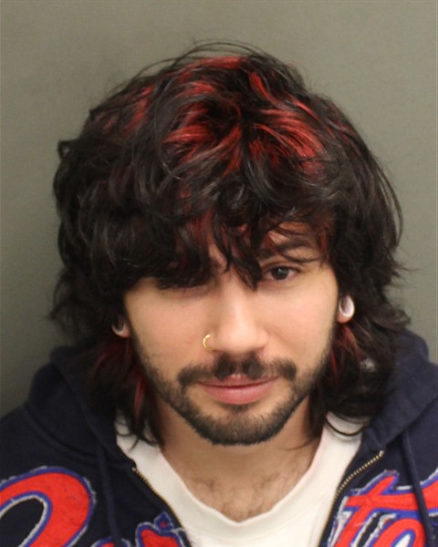  RANEL GEIAN RODRIGUEZOTERO Mugshot / County Arrests / Orange County Arrests