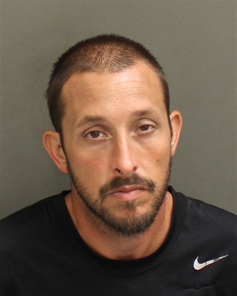  RYAN WILLIAM WILLOUGHBY Mugshot / County Arrests / Orange County Arrests