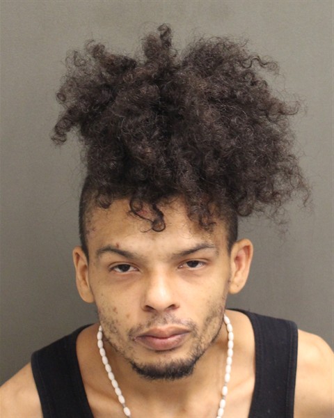  MICHAEL LUIS VINCENT ACEVEDO Mugshot / County Arrests / Orange County Arrests
