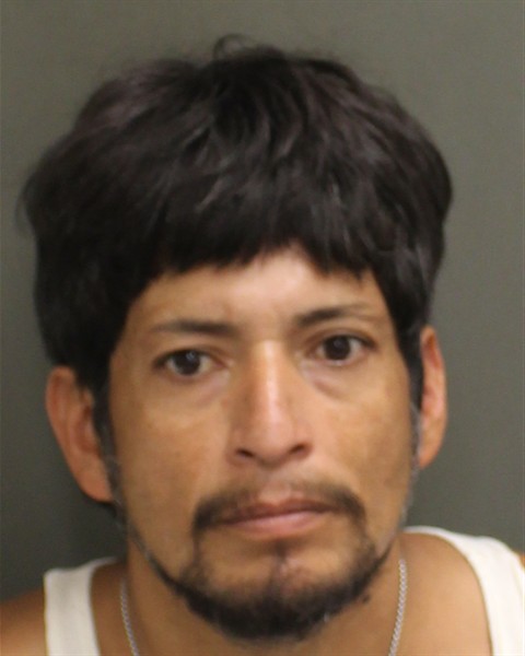  CARLOS EMILIO CARIAS Mugshot / County Arrests / Orange County Arrests