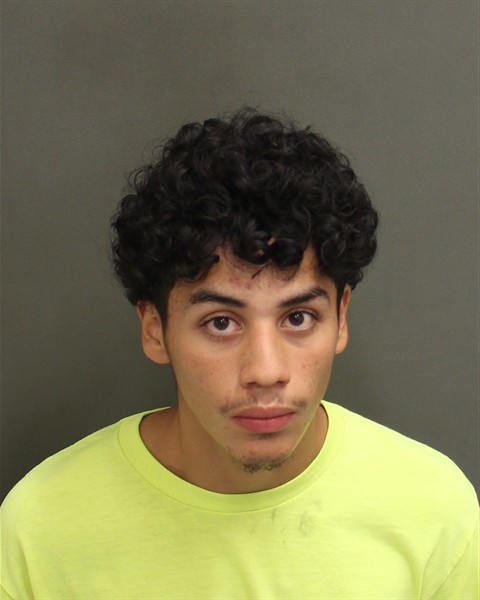  LUIS ANGEL ELLIS Mugshot / County Arrests / Orange County Arrests