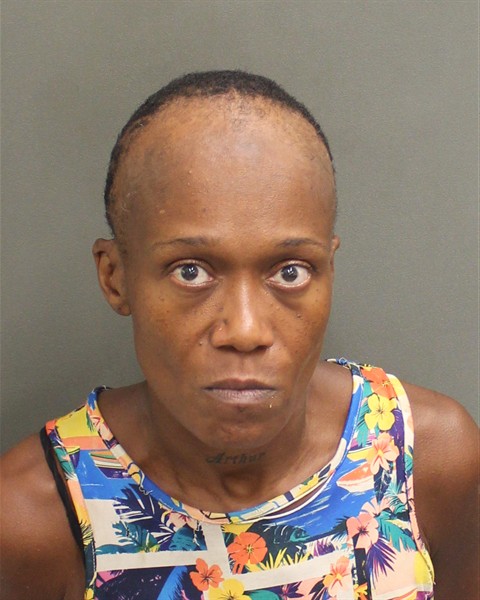  LOLETHA LAMARROW FORTSONDOWNING Mugshot / County Arrests / Orange County Arrests