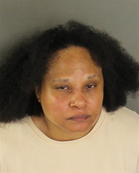  YOLANDA ROSANNA SANTOS Mugshot / County Arrests / Orange County Arrests