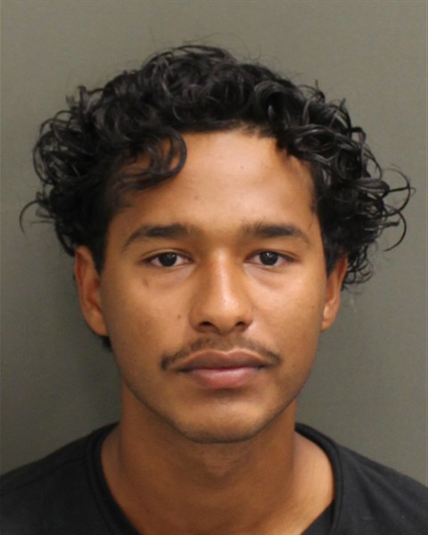  LUIS ANGEL TORRESVILLARREAL Mugshot / County Arrests / Orange County Arrests