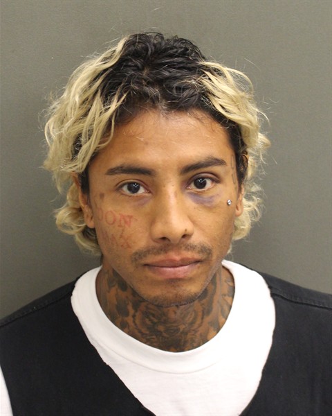  CHRISTIAN ANDRES HOLGUIN Mugshot / County Arrests / Orange County Arrests