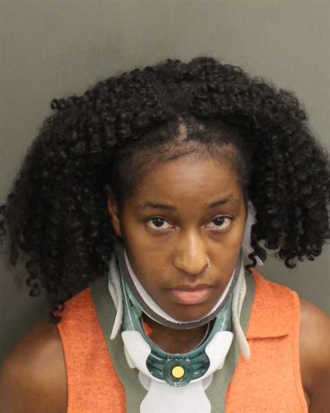  ANGIE LARISSA BOILEAU Mugshot / County Arrests / Orange County Arrests
