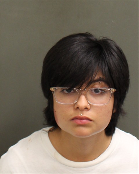  IXCHEL PENA Mugshot / County Arrests / Orange County Arrests