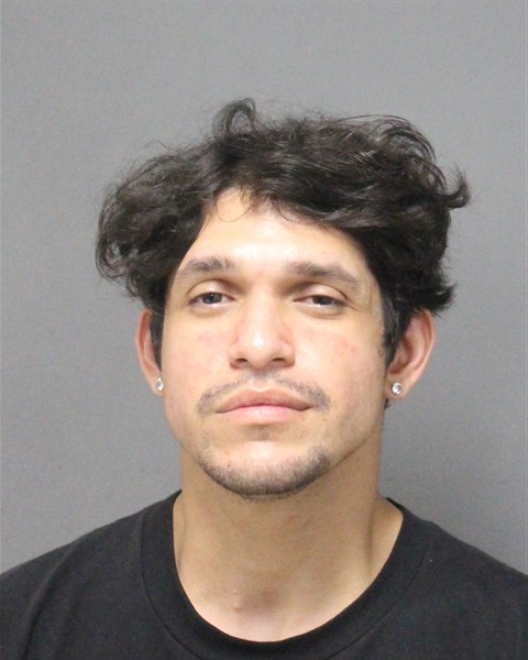  SEBASTIAN IBARRA Mugshot / County Arrests / Orange County Arrests