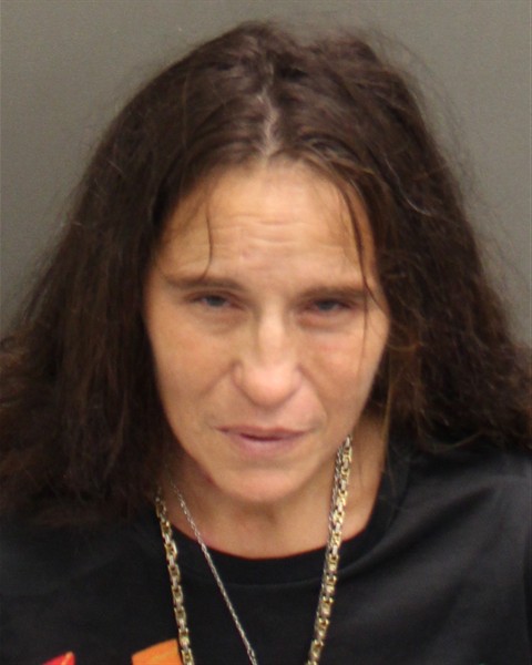  TINA LISA MARIE PLEASANT Mugshot / County Arrests / Orange County Arrests