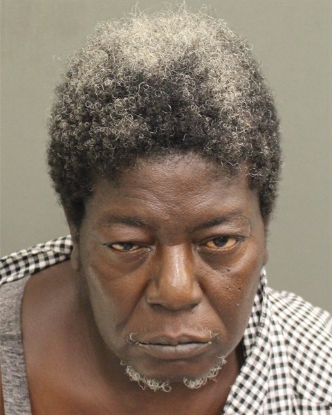  MARGERETT ANN BEALL Mugshot / County Arrests / Orange County Arrests