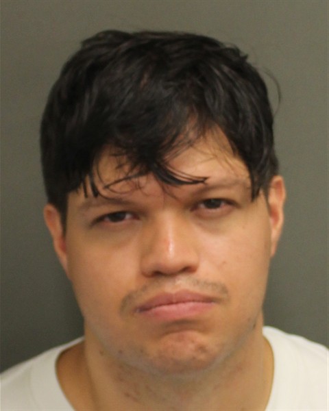  GIANNI MATTEO BECCEMENDOZA Mugshot / County Arrests / Orange County Arrests