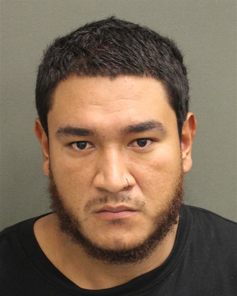  FERNANDO PANIAGUAVEGA Mugshot / County Arrests / Orange County Arrests
