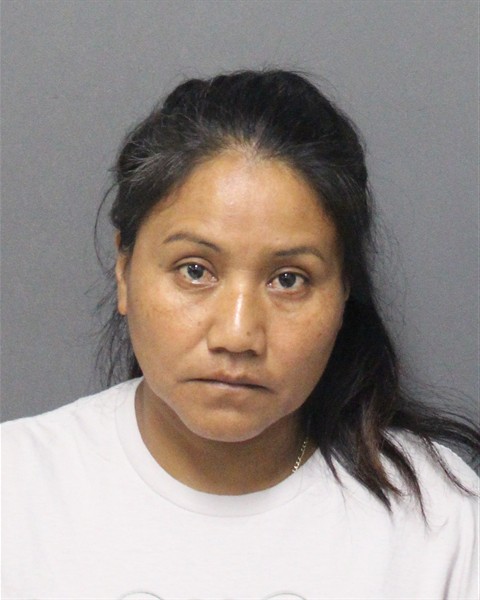  ROMELIA DOMINGO GODINEZ Mugshot / County Arrests / Orange County Arrests