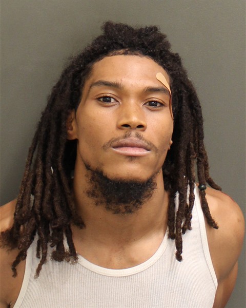  NATHANIEL ROBERT PITZER Mugshot / County Arrests / Orange County Arrests