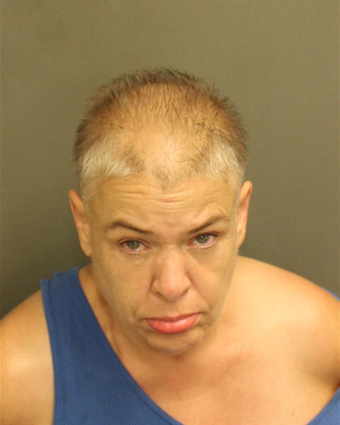  JOYCE HINKFOTH Mugshot / County Arrests / Orange County Arrests