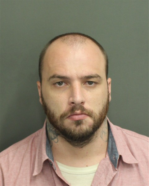  WILLIAM MICHAEL JR ROBINSON Photo Image