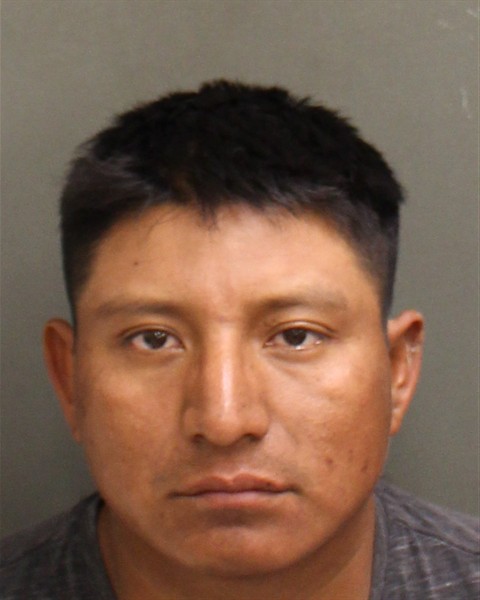  MYNOR MEJIA PEREZ Photo Image